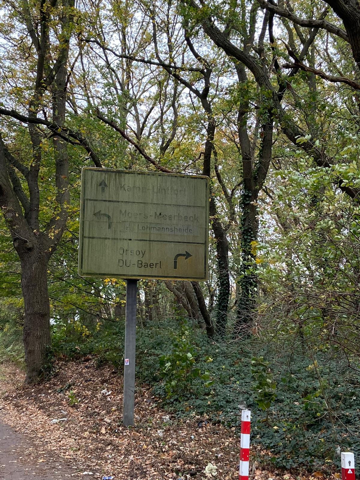 Verstecktes Verkehrsschild auf der Rheindeichstraße