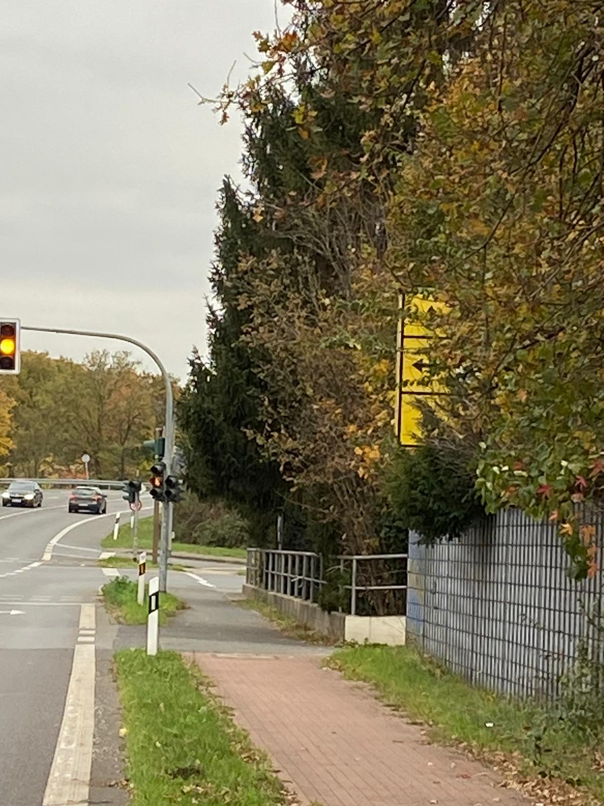 Unlesbares Verkehrsschild auf der Rheindeichstraße