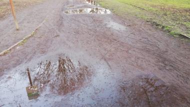 Wanderweg in Homberg/Hochheide
